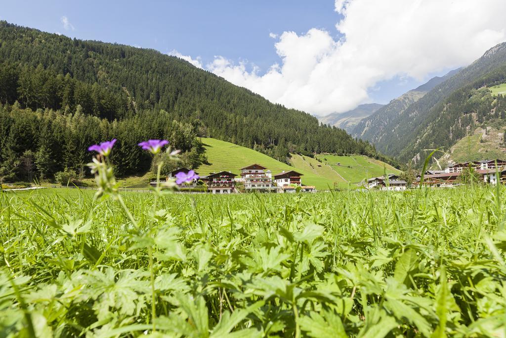 Art Apartment Neustift im Stubaital Exterior photo